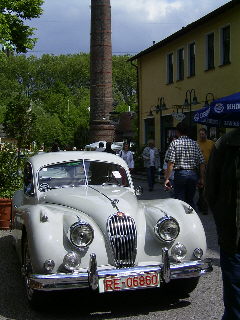 Fine white Cat - British Open Essen- Borbeck